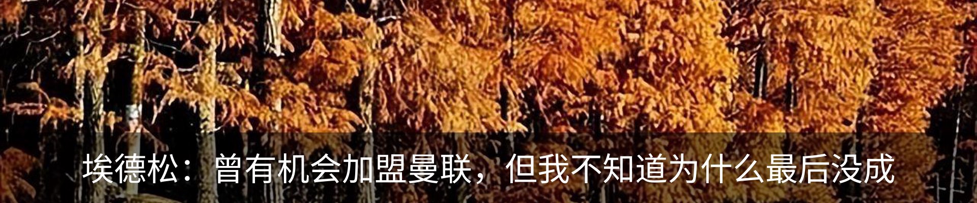 新闻动态
