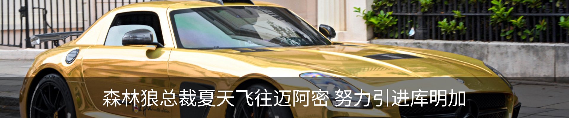 新闻动态