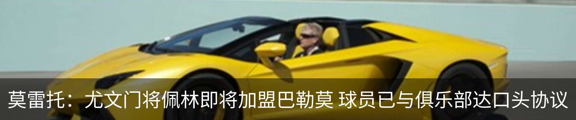 新闻动态